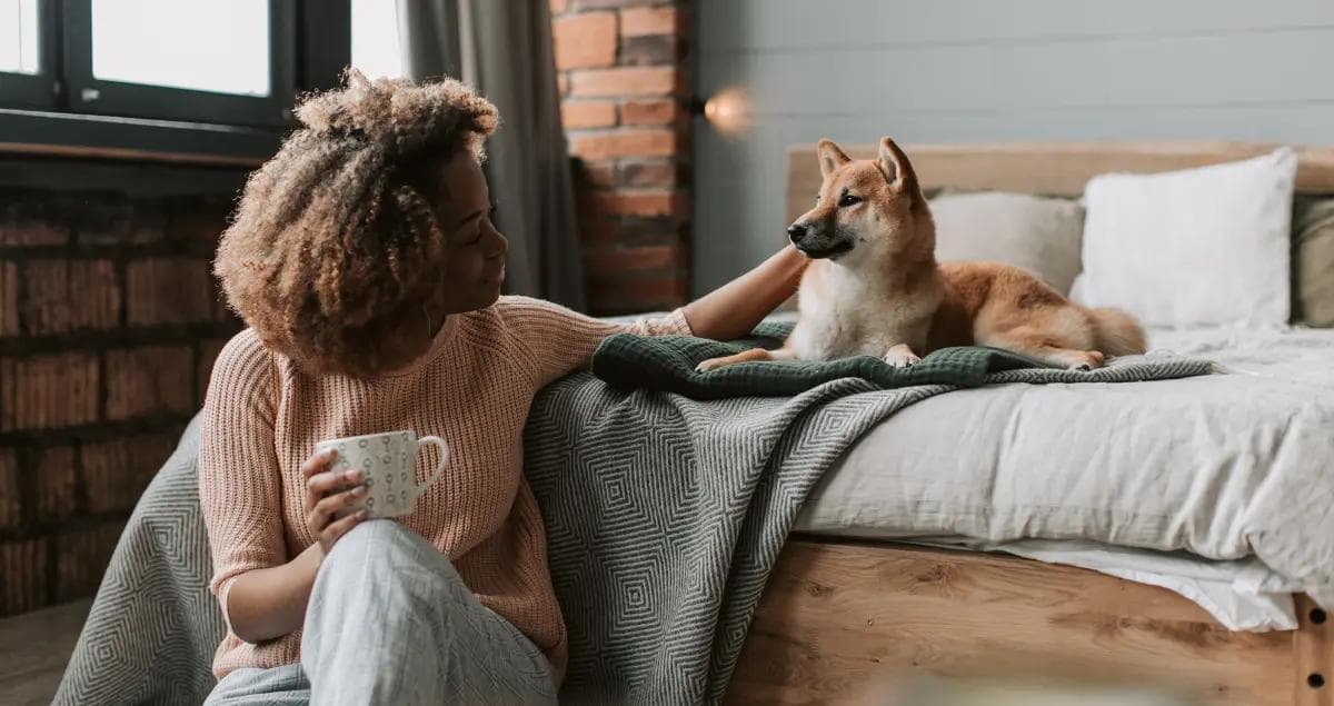 Can You Find Pet-Friendly Housing Near Tyndall AFB for TDY Stays?