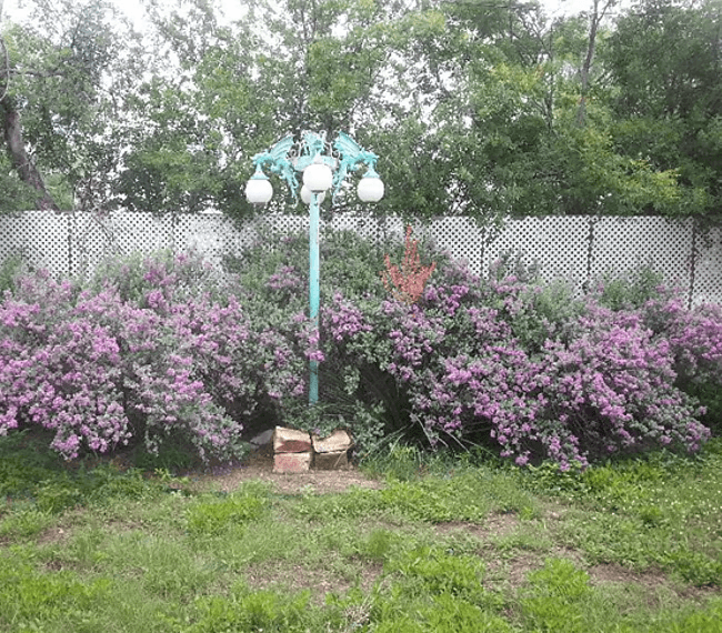 Charming Vintage 1BR Duplex Near Downtown & Goodfellow AFB